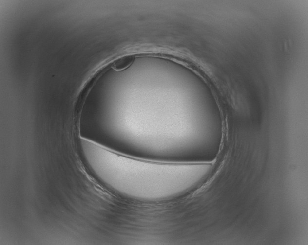 X0000073531501200607311002