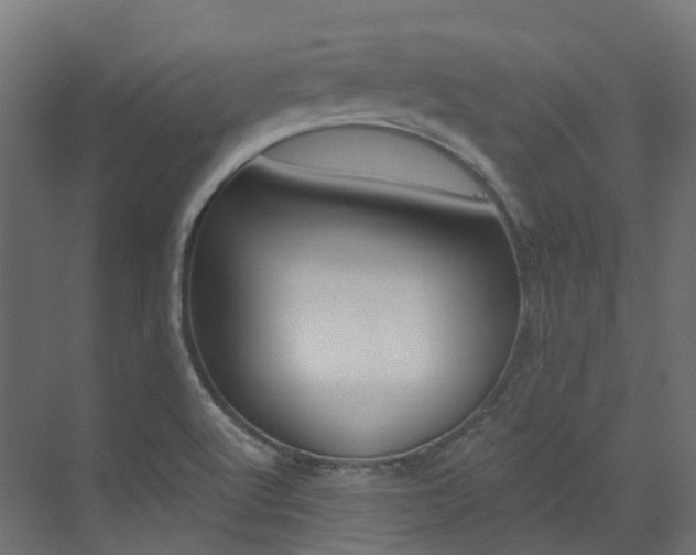 X0000073531512200607311002