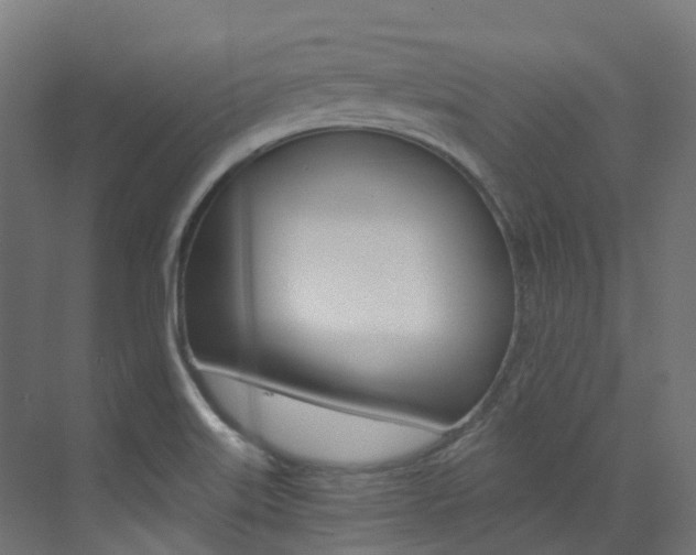 X0000073531515200607311002