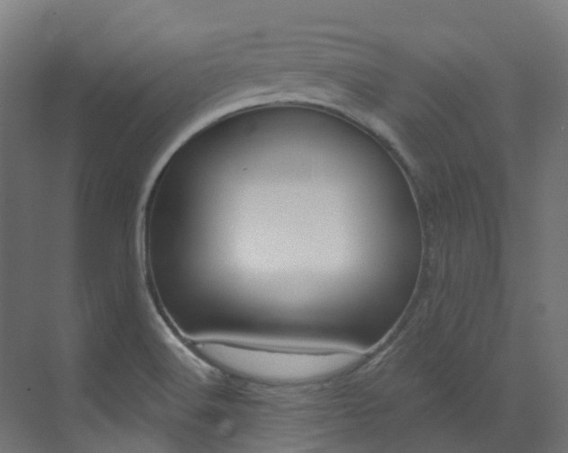 X0000073531516200607311002