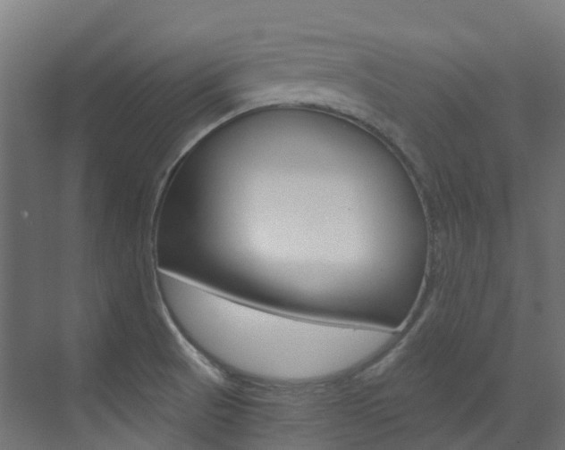 X0000073531521200607311002
