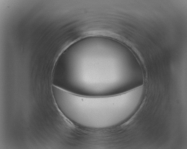 X0000073531529200607311002