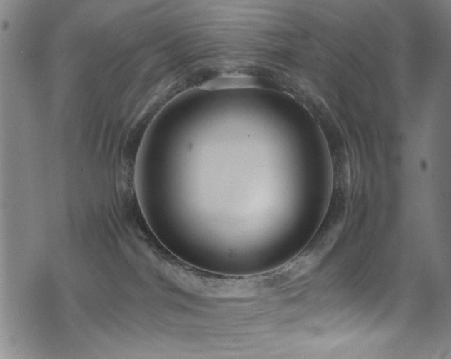 X0000073530044200607311300