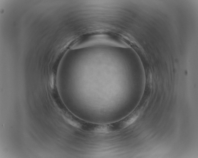 X0000073530076200607311300