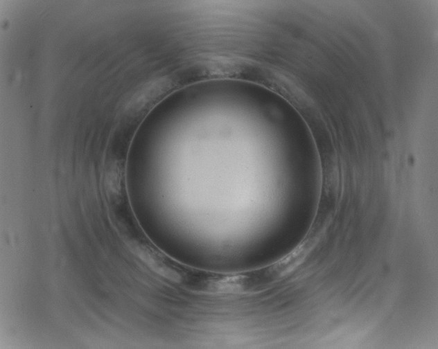 X0000073530078200607311300