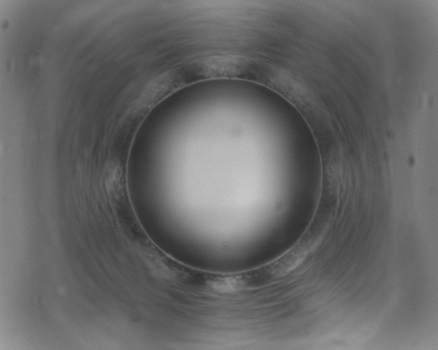 X0000073530079200607311300