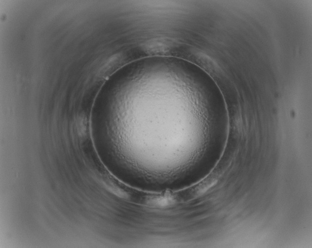 X0000073530081200607311300