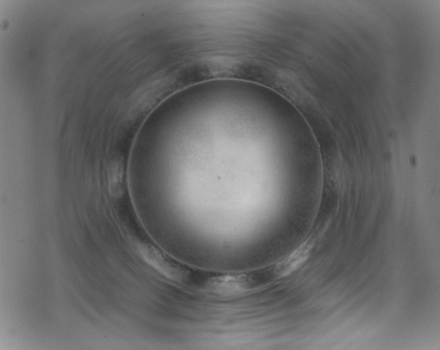 X0000073530082200607311300