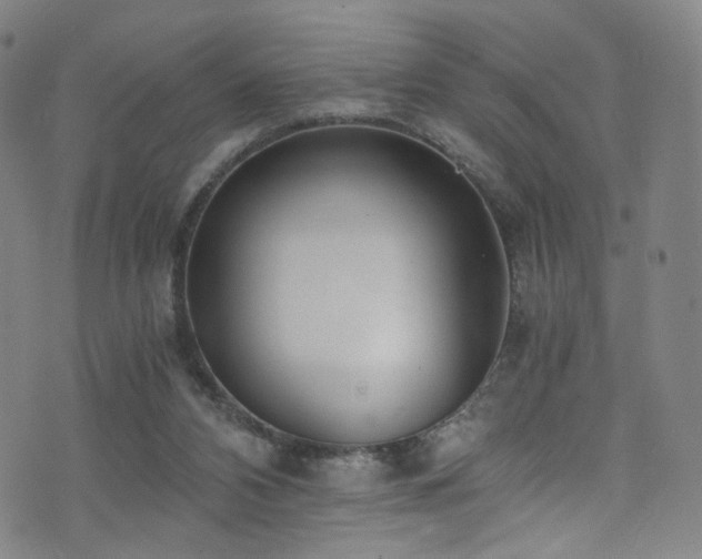 X0000073530112200607311259