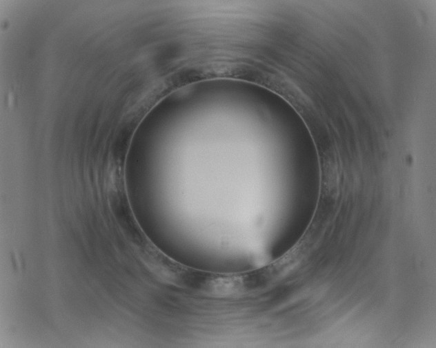 X0000073530126200607311259