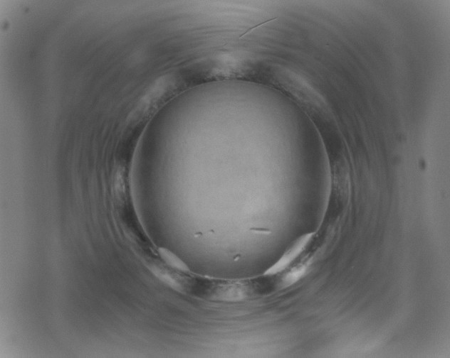 X0000073530127200607311259