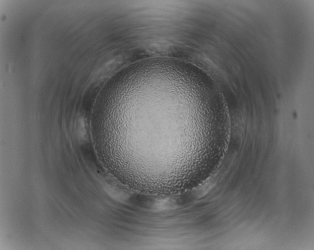 X0000073530130200607311259
