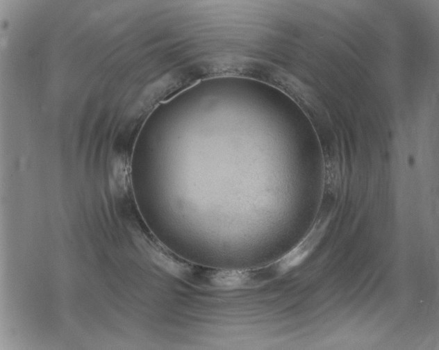 X0000073530142200607311258