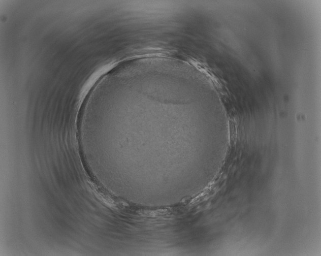 X0000073530147200607311258