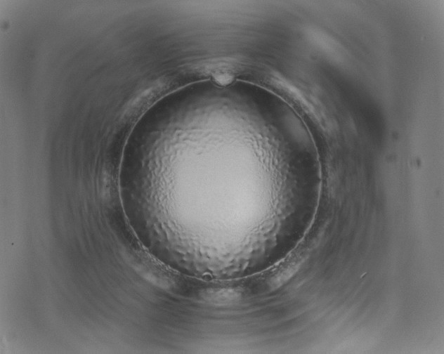 X0000073530161200607311258