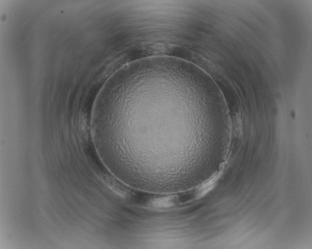 X0000073530178200607311258