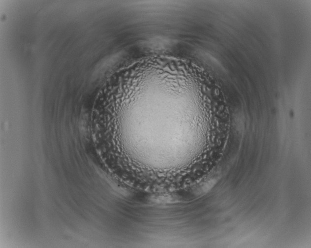 X0000073530181200607311258