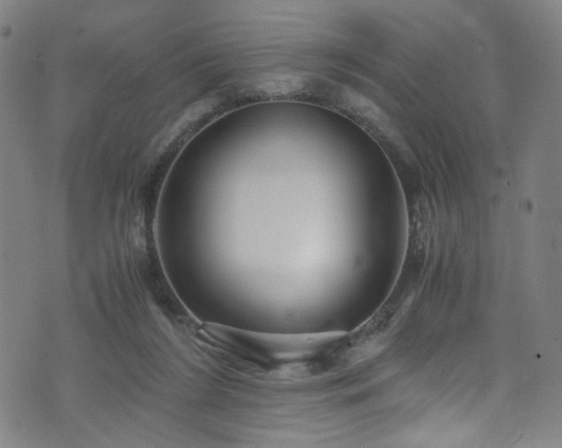 X0000073530212200607311257