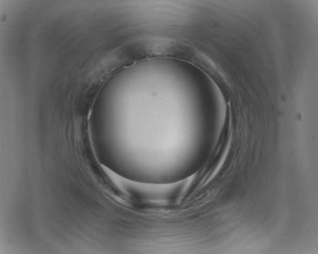 X0000073530217200607311257