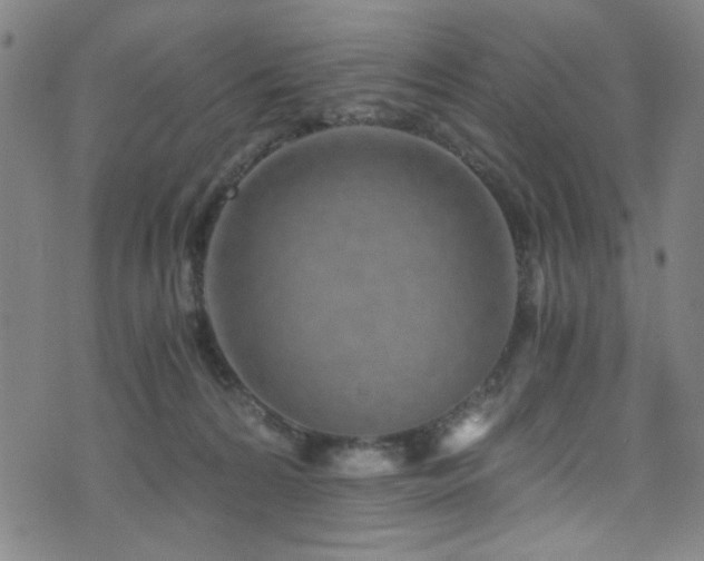 X0000073530224200607311257