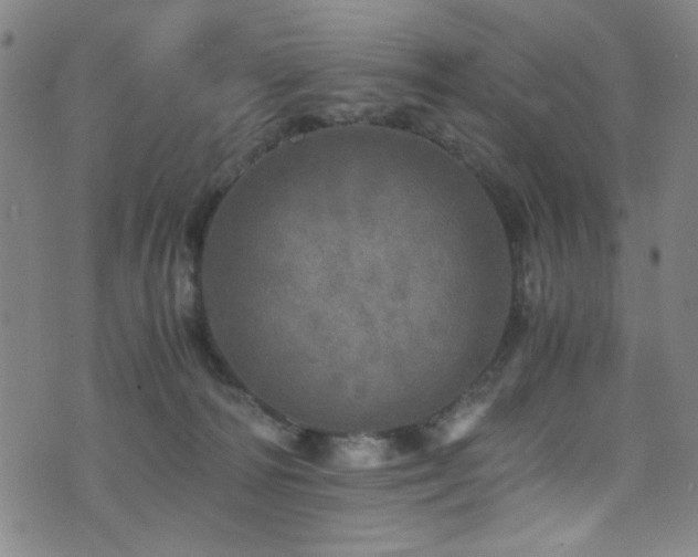 X0000073530226200607311257