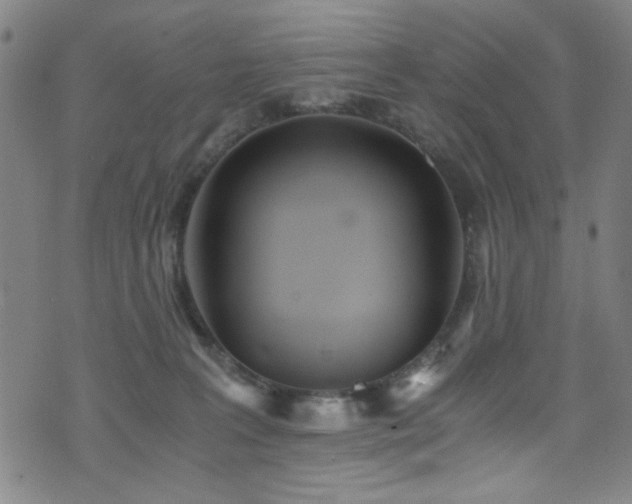 X0000073530227200607311257
