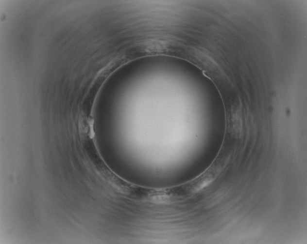 X0000073530228200607311257