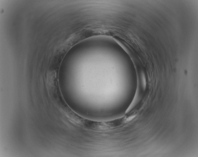 X0000073530229200607311257