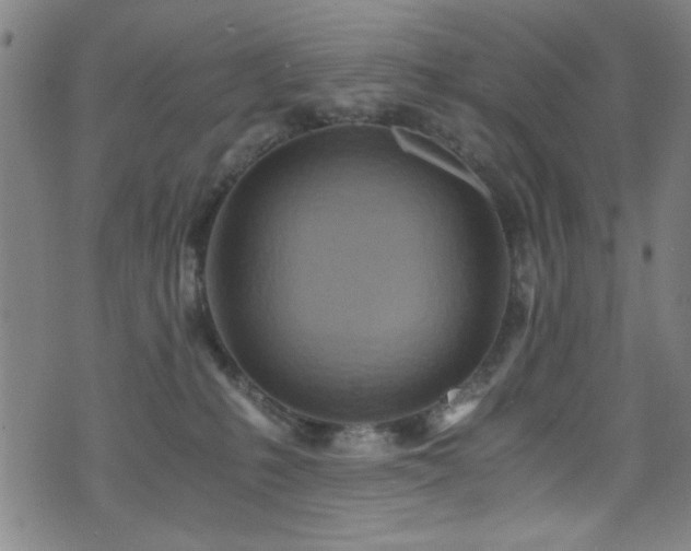 X0000073530231200607311257