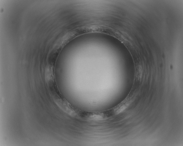 X0000073530236200607311257