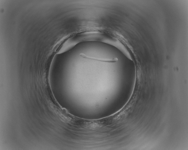 X0000073530249200607311256
