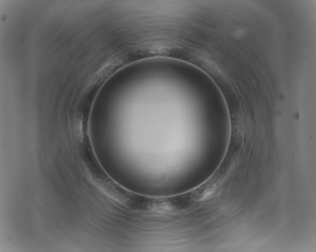 X0000073530262200607311256