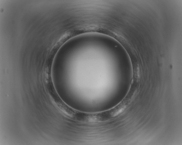 X0000073530264200607311256