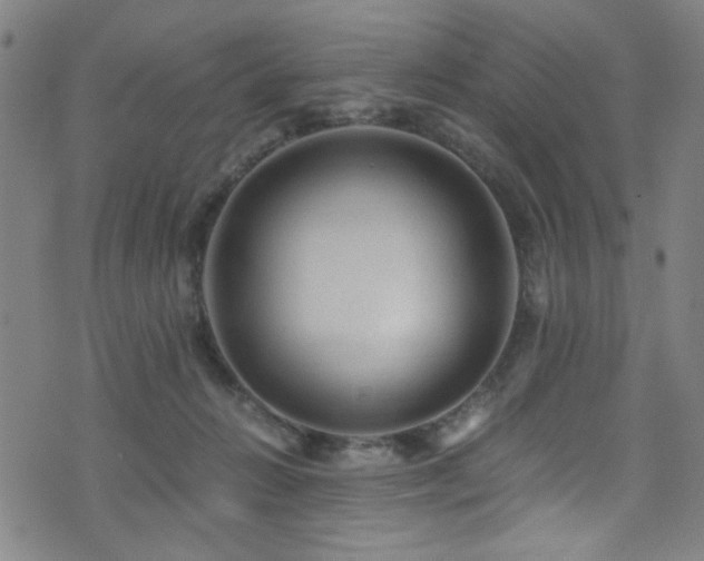 X0000073530270200607311257