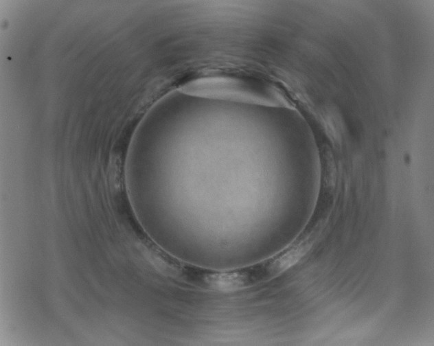 X0000073530273200607311257