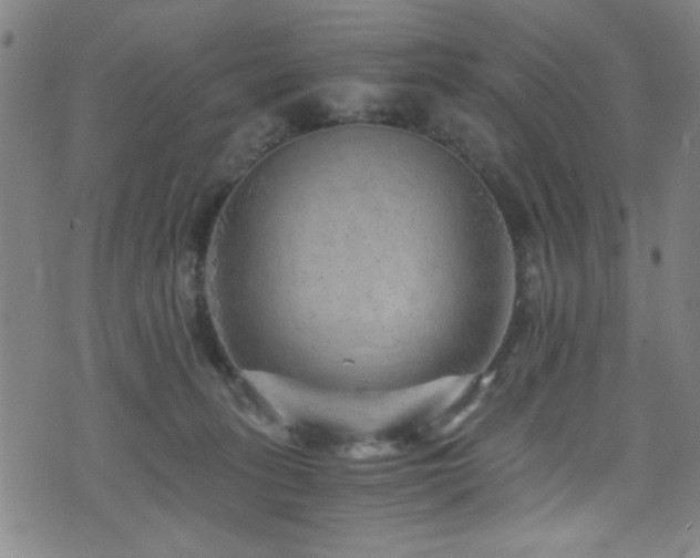 X0000073530275200607311257