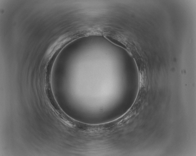 X0000073530291200607311256