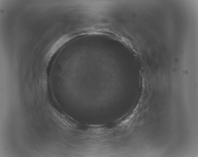X0000073530295200607311256