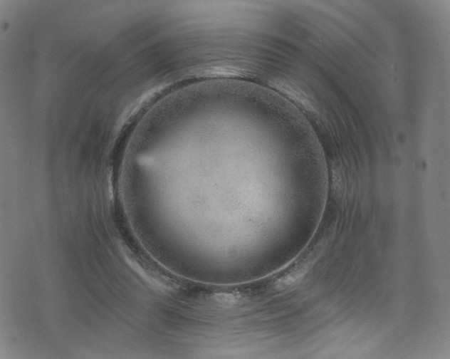 X0000073530302200607311256