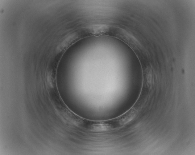 X0000073530316200607311256