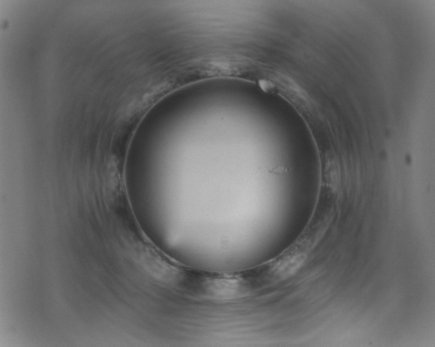 X0000073530318200607311256