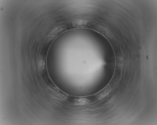 X0000073530324200607311256