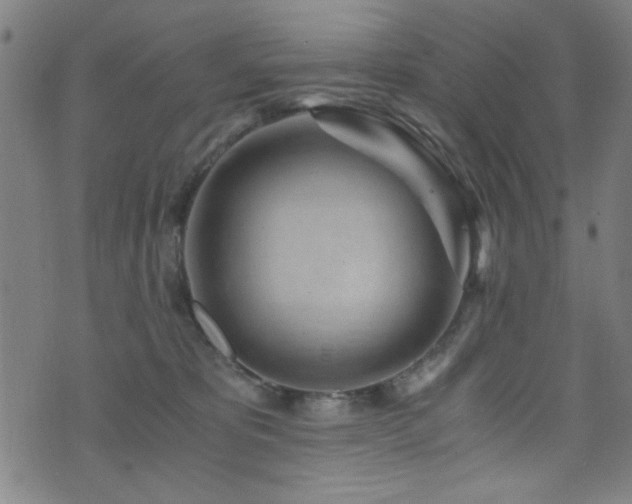 X0000073530325200607311255