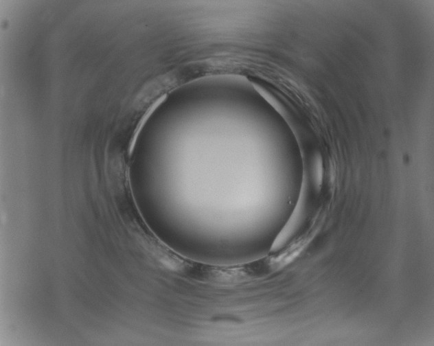 X0000073530333200607311255
