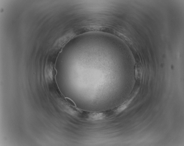 X0000073530334200607311255