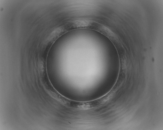 X0000073530362200607311255