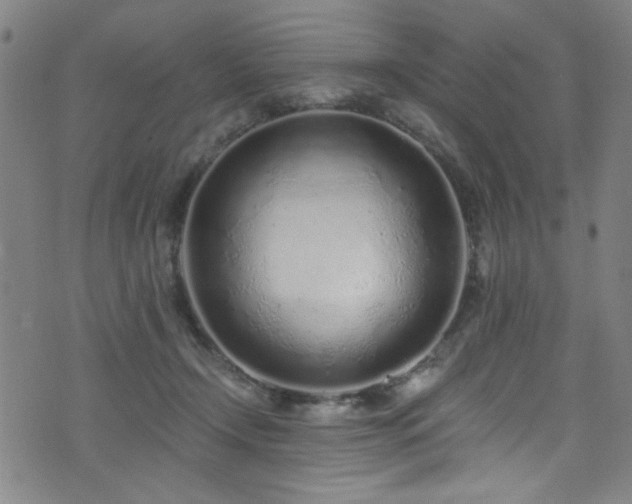 X0000073530366200607311255