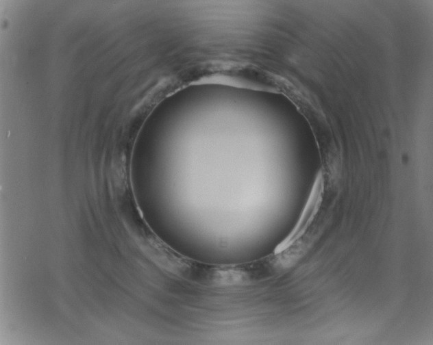 X0000073530376200607311255