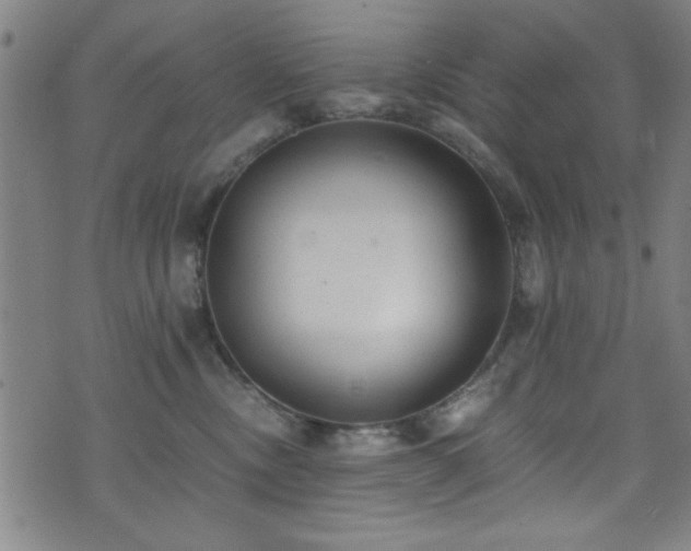 X0000073530378200607311255