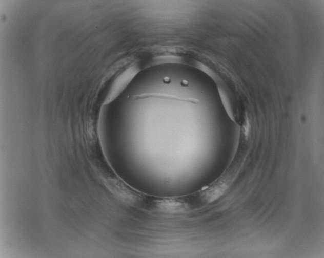 X0000073530380200607311255